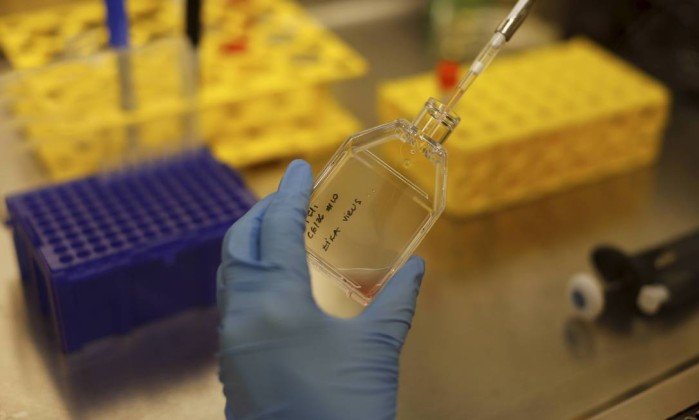Vírus Zika pode combater câncer cerebral