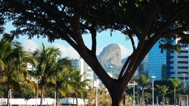 Vibra Rock 2027 em Vitória: Raimundos, data e ingressos