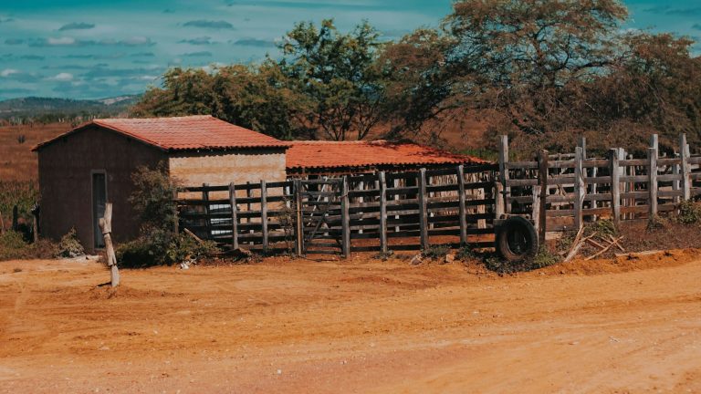 Lucas Bissoli e Eduarda Braum: os capixabas de A Fazenda 18